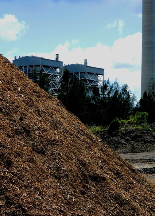 Biomass stock pile